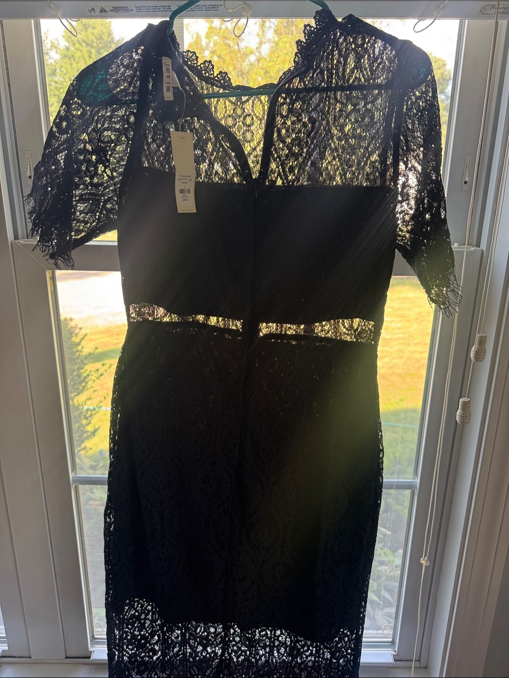 Francesca's Collections Black Lace Midi Sheath Dress